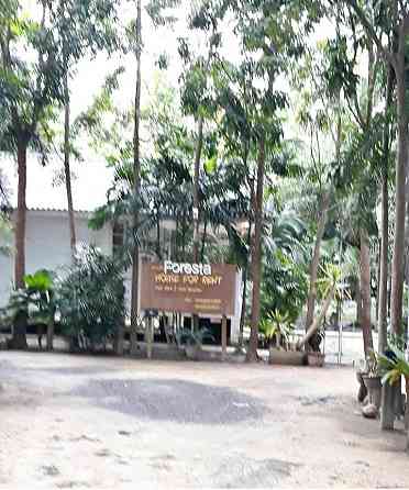 1 Bedroom 1 Bathroom - House Phangan