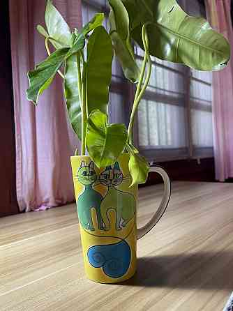 1 Bedroom 1 Bathroom House Phangan
