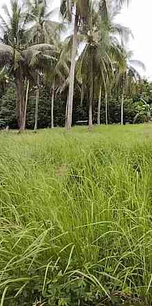 3 beds 3 baths Flat Phangan