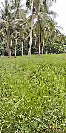 3 beds 3 baths Flat Phangan
