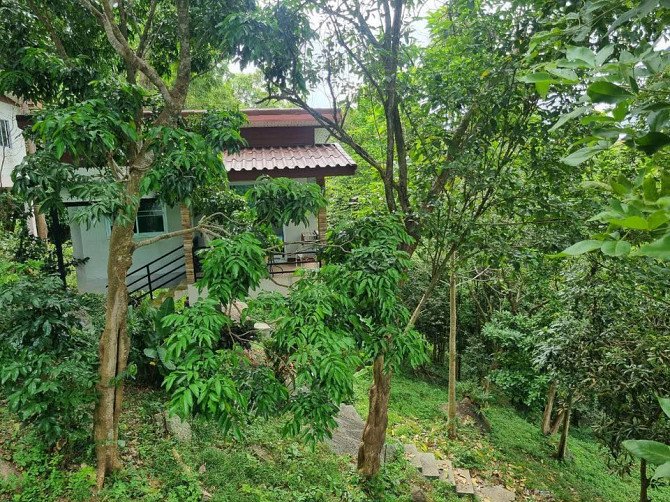 House with 1 Bedroom and 1 Bathroom Phangan - photo 2