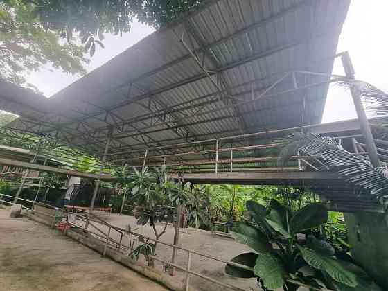 1 bed 4 baths House Samui