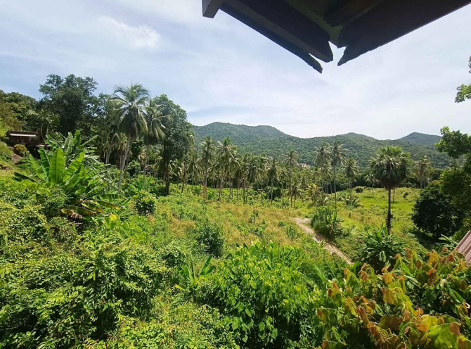 1 Bed 1 Bath - House Phangan - photo 3