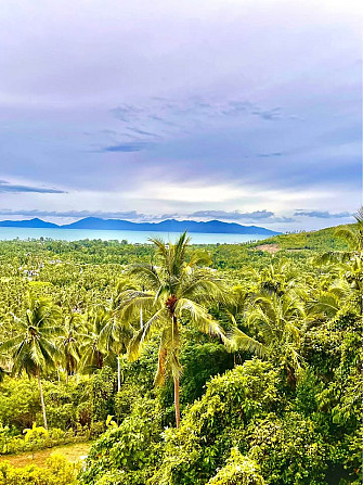 2 Beds 2 Baths - Apartment Samui - photo 1