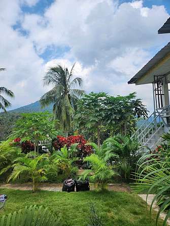 1 Bed 1 Bath - Apartment Phangan - photo 9