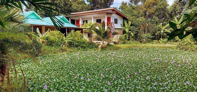 1 Bedroom 1 Bathroom - Apartment Phangan - photo 2