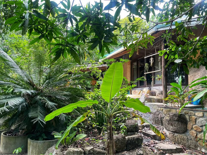 House for Sale Phangan - photo 9