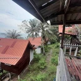 Land for Business Lease Phangan - photo 3