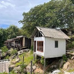 Land for Business Lease Phangan - photo 11