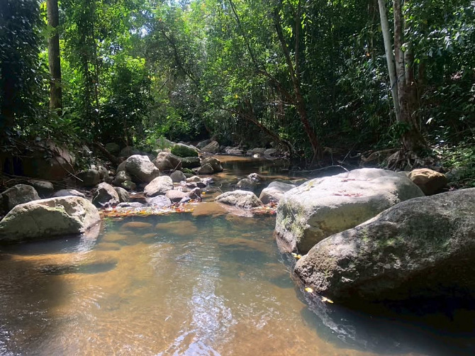 Land for Long Term Lease Samui - photo 3
