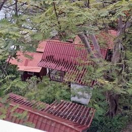Land for Business Lease Phangan - photo 5
