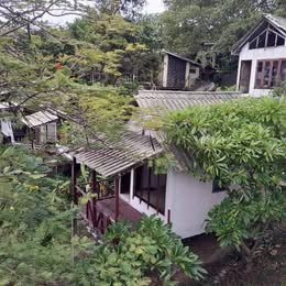 Land for Business Lease Phangan - photo 6