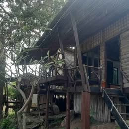Land for Business Lease Phangan - photo 4