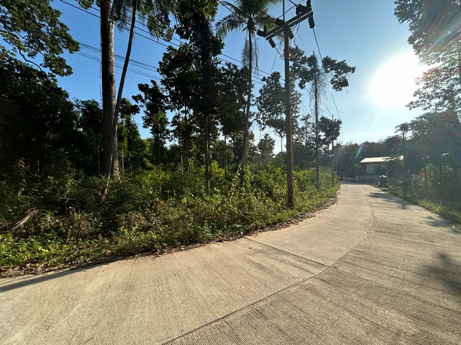 Land for Long-Term Lease Phangan - photo 3