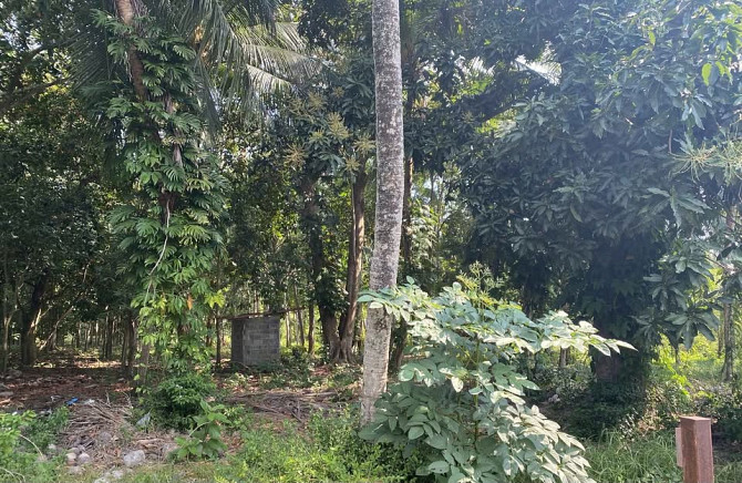 Land for Long Lease Samui - photo 3