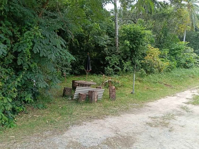 Land for Long Term Lease Phangan - photo 5