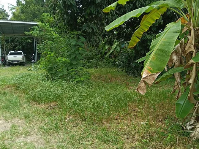 Land for Long Term Lease Phangan - photo 9
