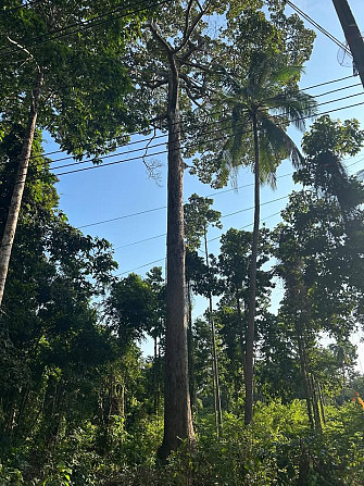 Land for Long-Term Lease Phangan - photo 4