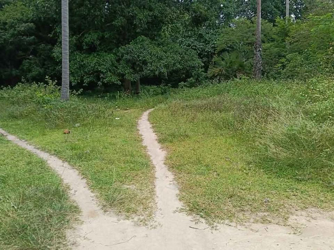 Land for Long Term Lease Phangan - photo 7