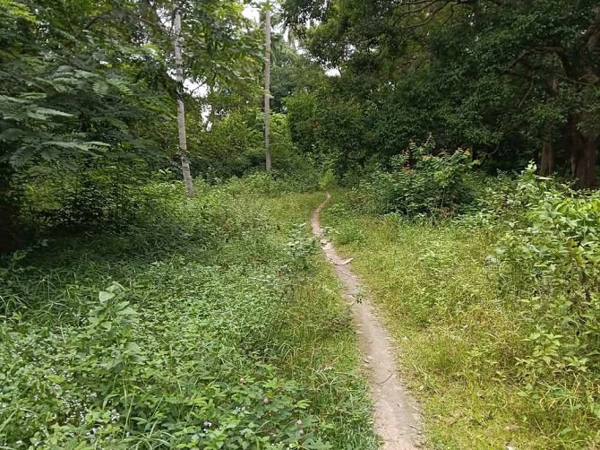 Land for Long Term Lease Phangan - photo 12