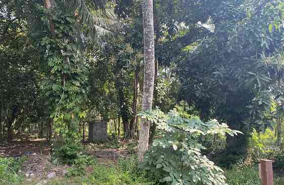 Land for Long Lease Samui