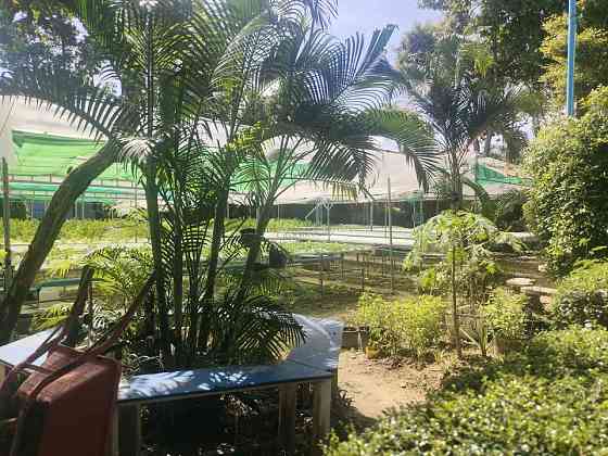 Room for rent Maenam Samui