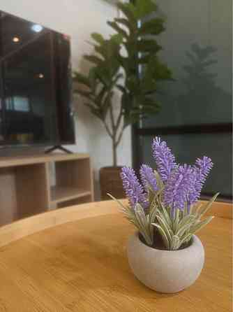 2 Beds 2 Baths - House Phangan