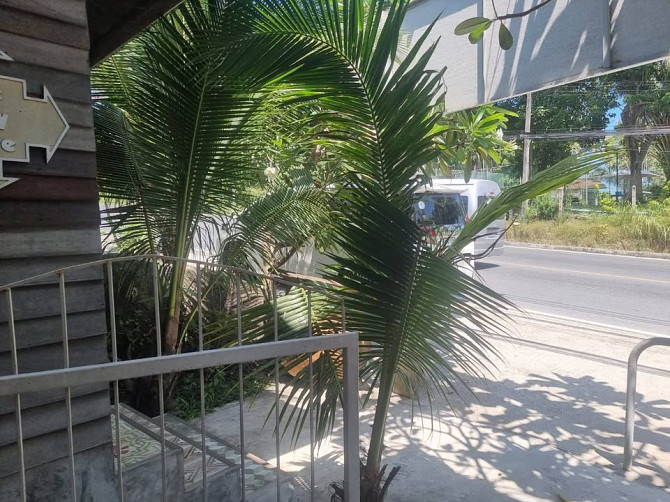 Commercial Space for Rent Samui - photo 2