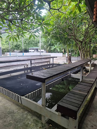 Commercial Building for Rent Samui - photo 6