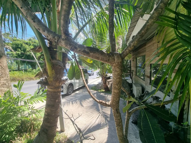 Commercial Building for Rent Samui - photo 13
