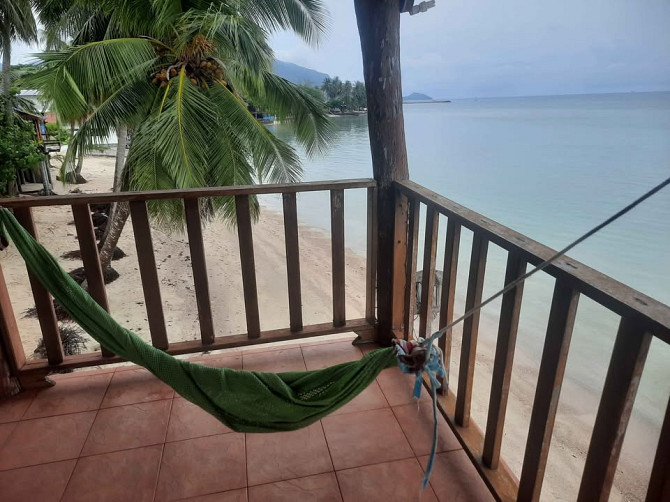 Restaurant & Bar for Rent Phangan - photo 8