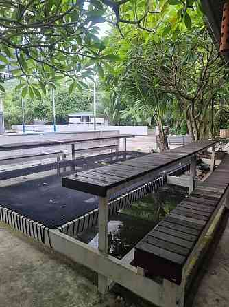 Commercial Building for Rent Samui