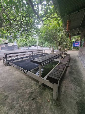 Commercial Building for Rent Samui - photo 5