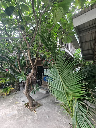 Commercial Building for Rent Samui - photo 2