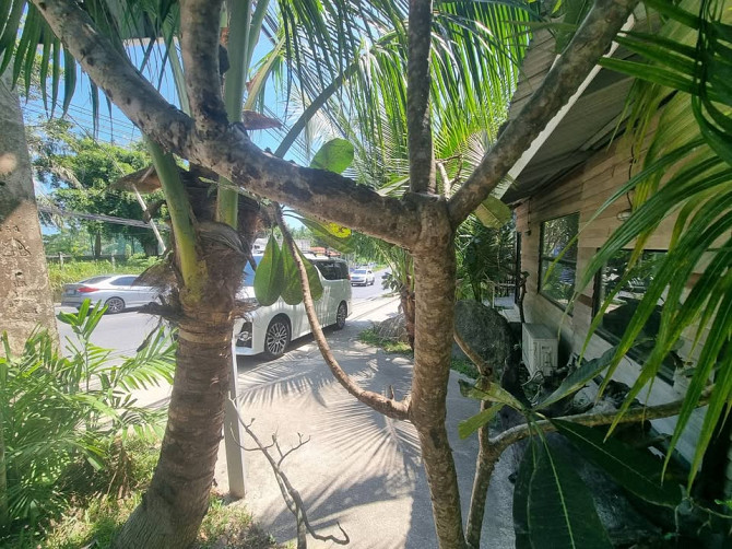 Commercial Space for Rent Samui - photo 6