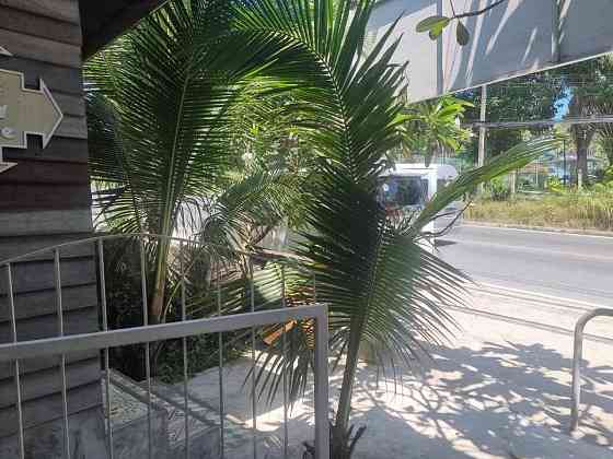 Shop For Rent Samui