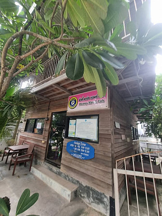 Shop For Rent Samui - photo 3