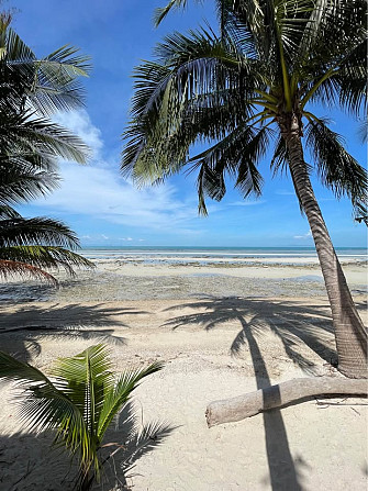 Land and Property For Rent Samui - photo 7