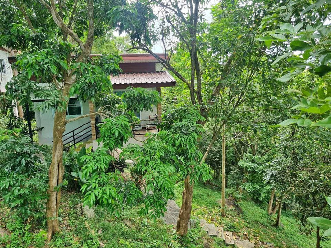 House with 1 Bedroom and 1 Bathroom Phangan - photo 1