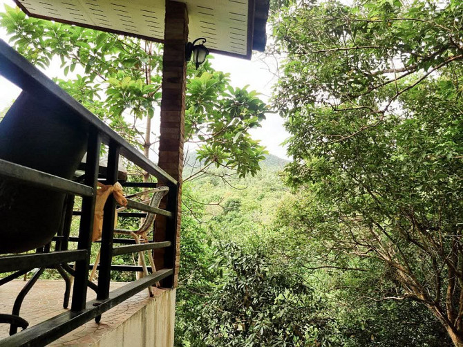 House with 1 Bedroom and 1 Bathroom Phangan - photo 2