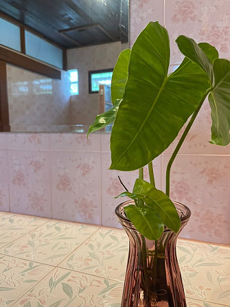 1 Bedroom House for Rent Phangan - photo 15