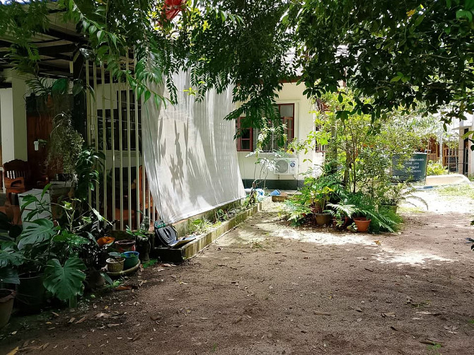 3 bedrooms 2 bathrooms - House Phangan - photo 3