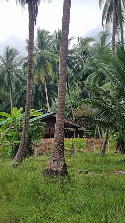 2 bedroom 1 bathroom house Phangan - photo 12