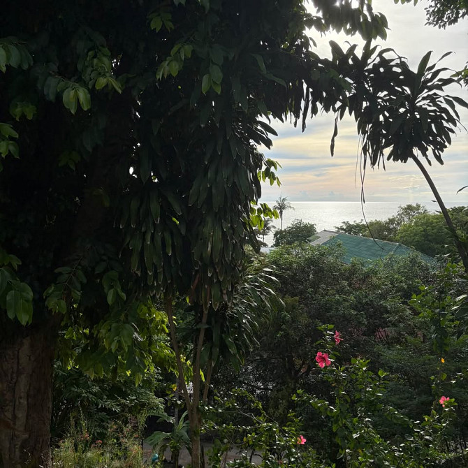 1 bed 1 bath – House Phangan - photo 5