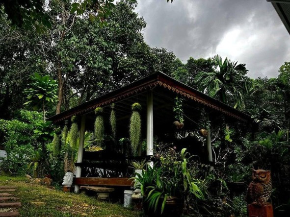3 Beds 2 Baths House Phangan - photo 19