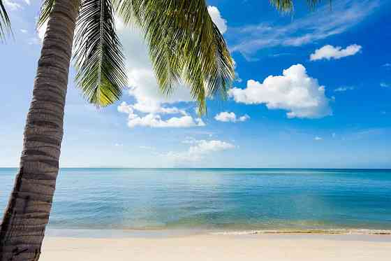 3 Beds 3 Baths - House Samui