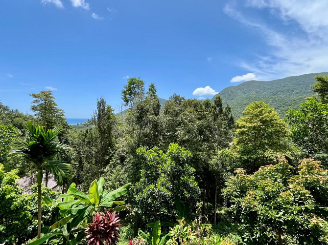 2 beds 1 bath House Phangan - photo 2