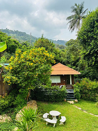 1 Bed 1 Bath - House Samui - photo 7