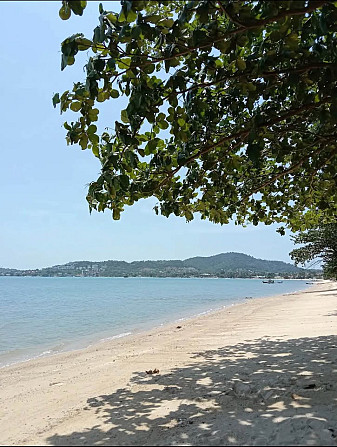 Apartment with Bedrooms: 1 and Bathrooms: 1 Samui - photo 9