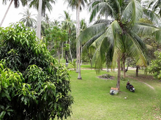 2 Beds 1 Bath - House Phangan - photo 18